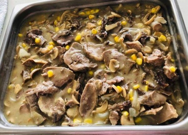LENGUA